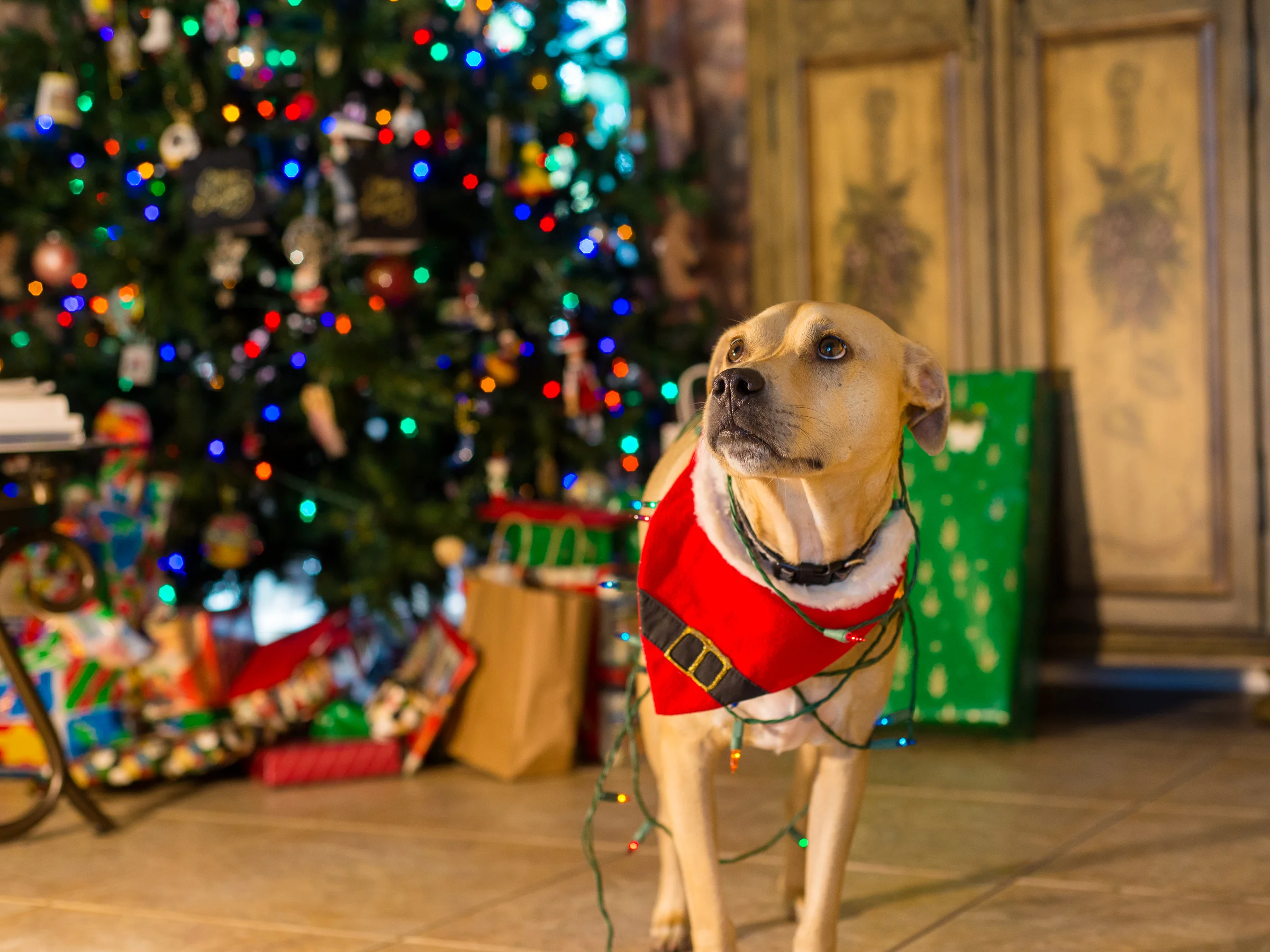 Dexter-Fourth-0128-Edit.jpg