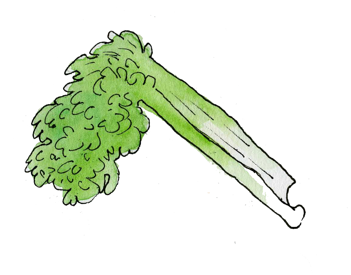 Celery.png
