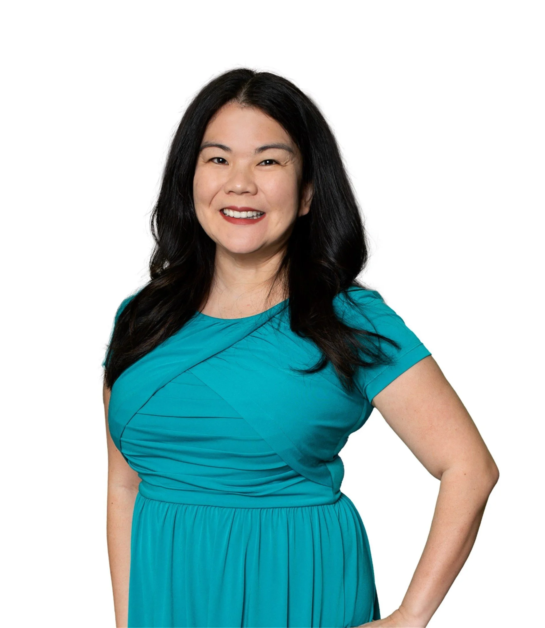 Meet our Mentors — Washington Immigrant Network