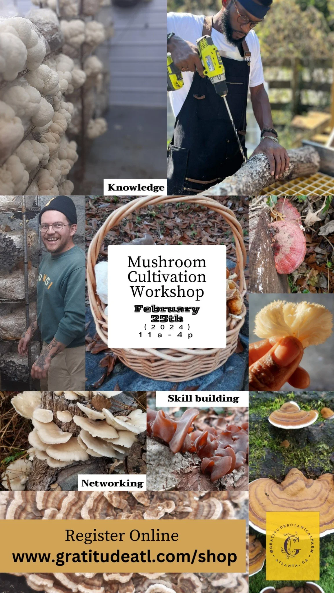 Mushroom Cultivation Workshop- Sunday, February 25, 2024