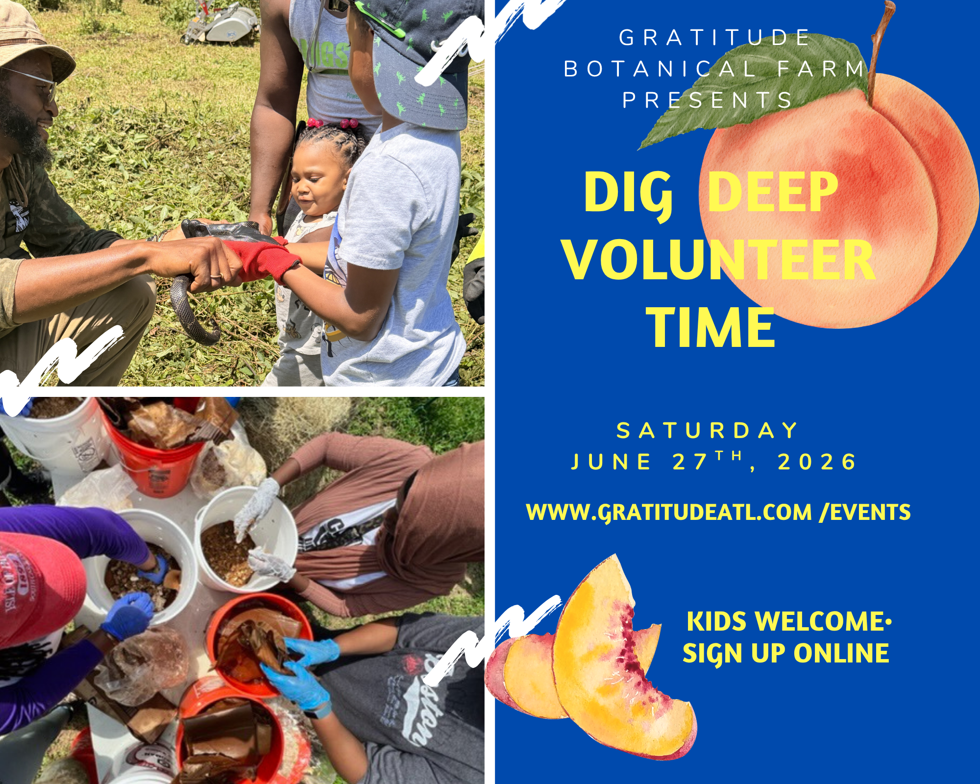 JUNE DIG DEEP VOLUNTEER DAY