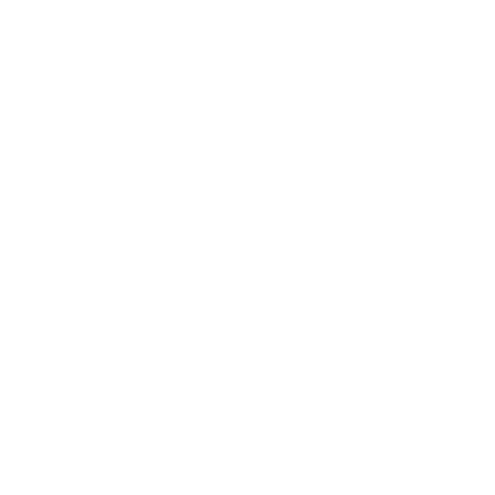 bontewever_1000.png