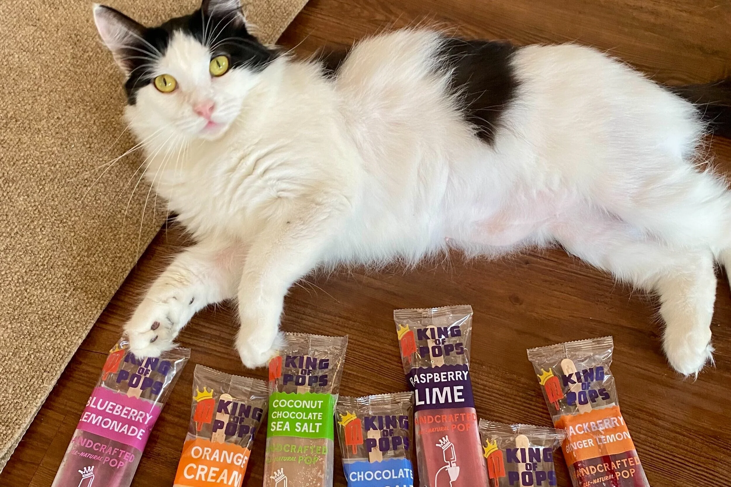 White and black cat laying next to a variety of King of Pops snack bars