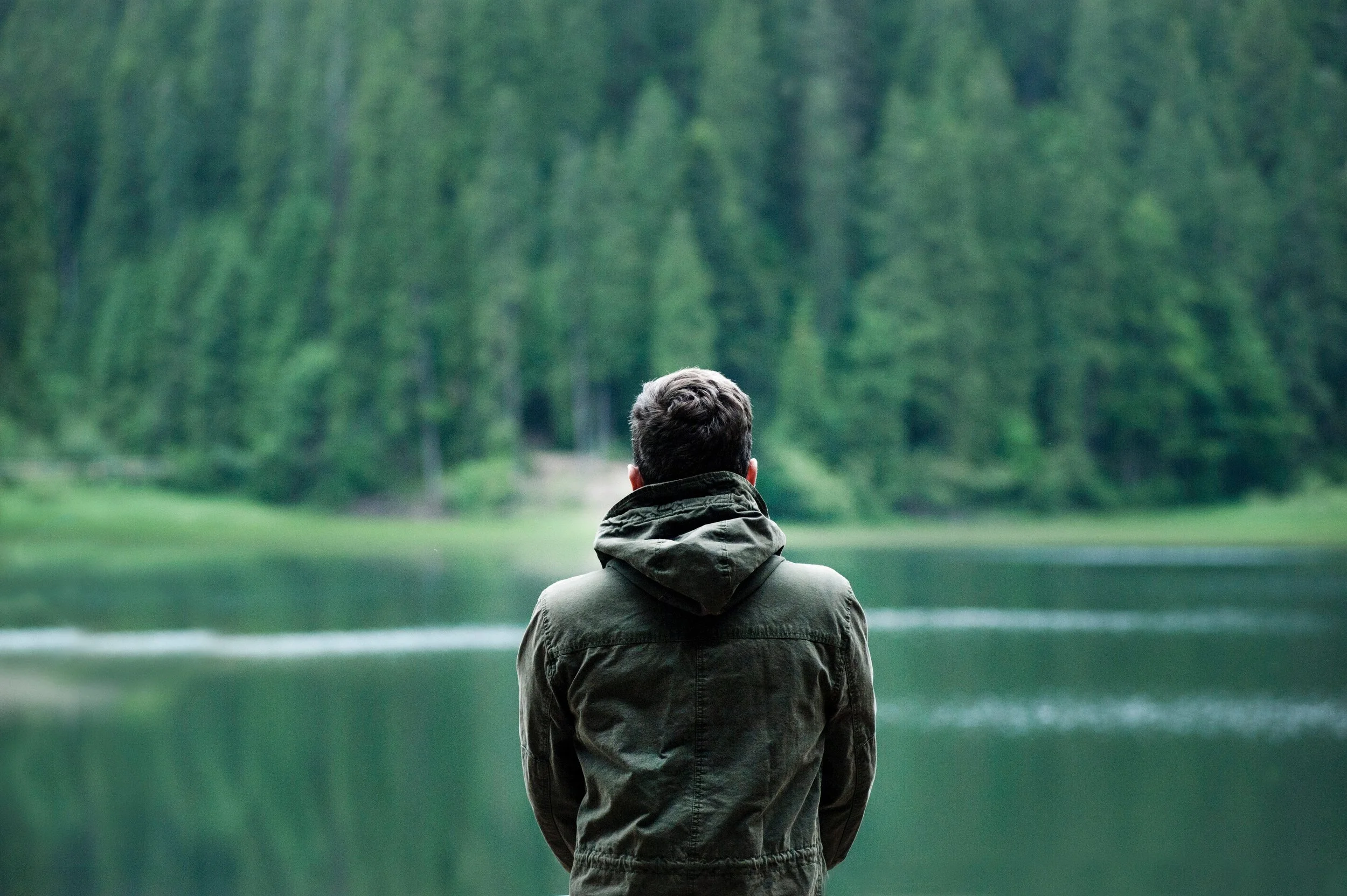 adult-alone-blur-1172207.jpg