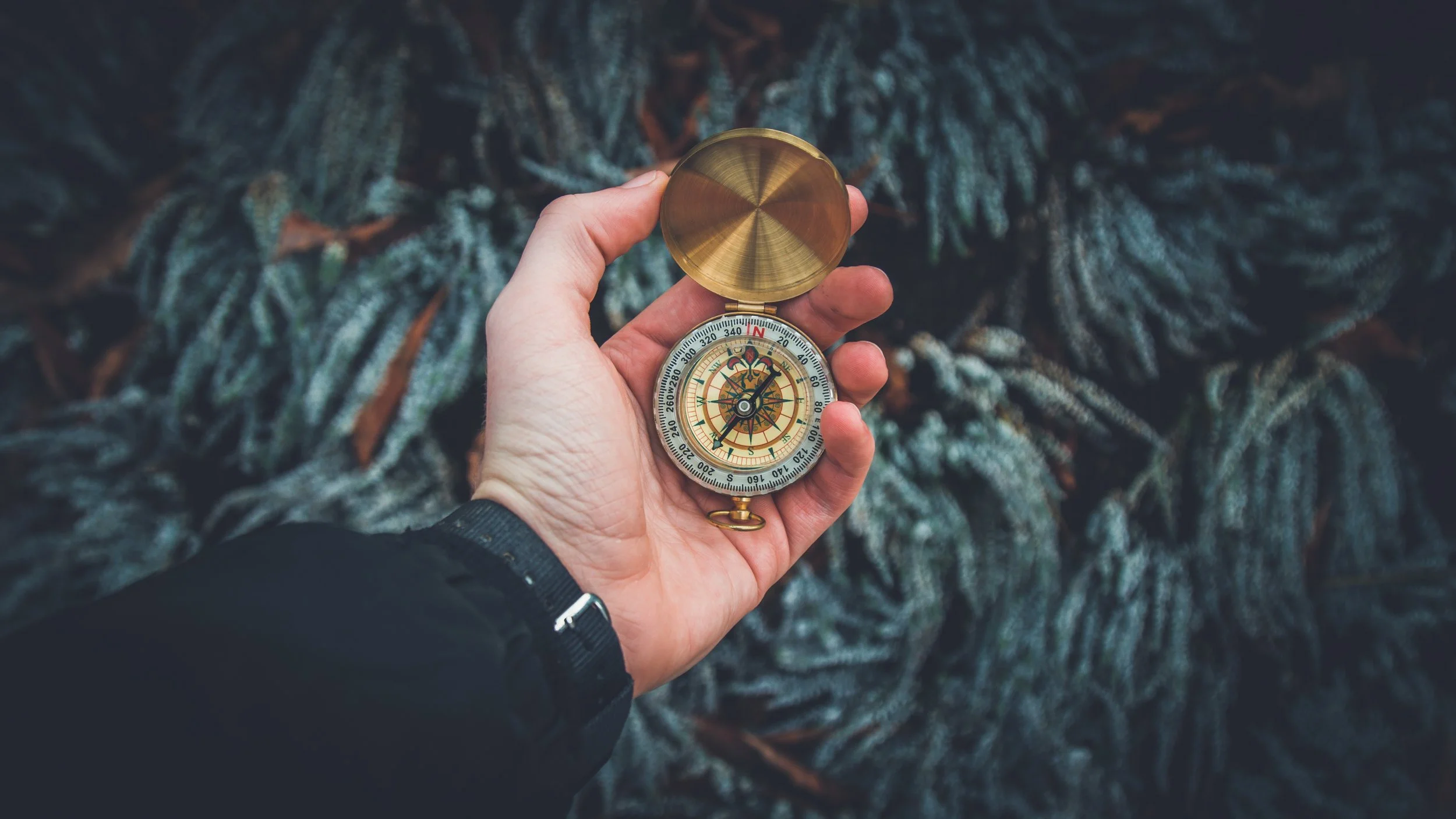 close-up-compass-direction-841286.jpg
