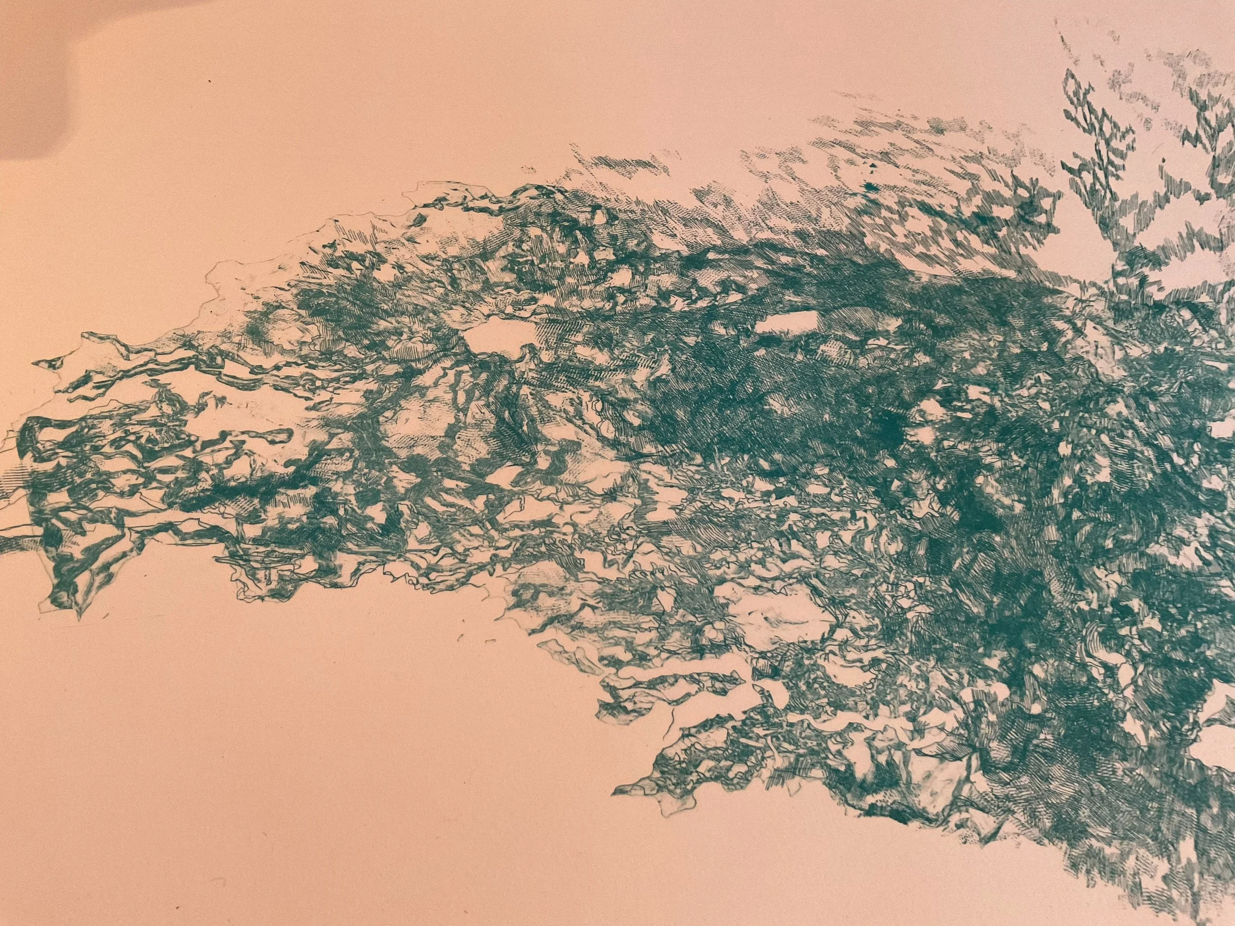 D20B32AA-7EEE-439F-A19A-B72FDC98AA21.jpeg