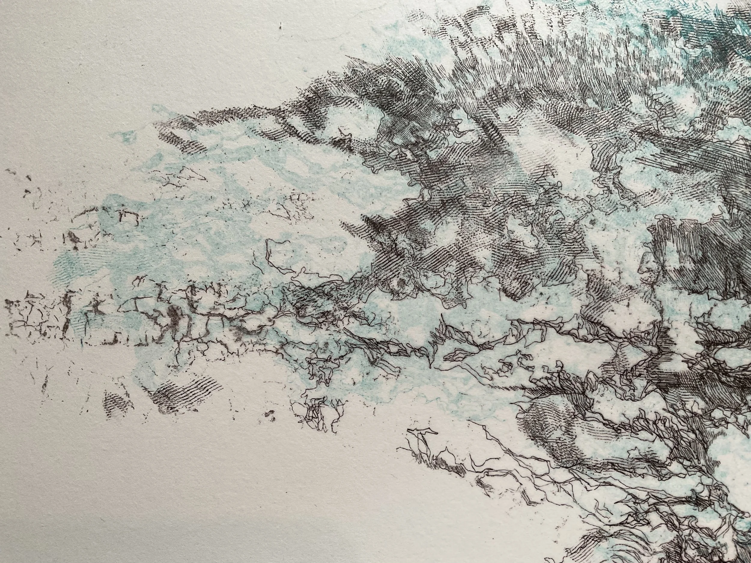 95632471-C032-4992-9132-45A04B82ED4D.jpeg