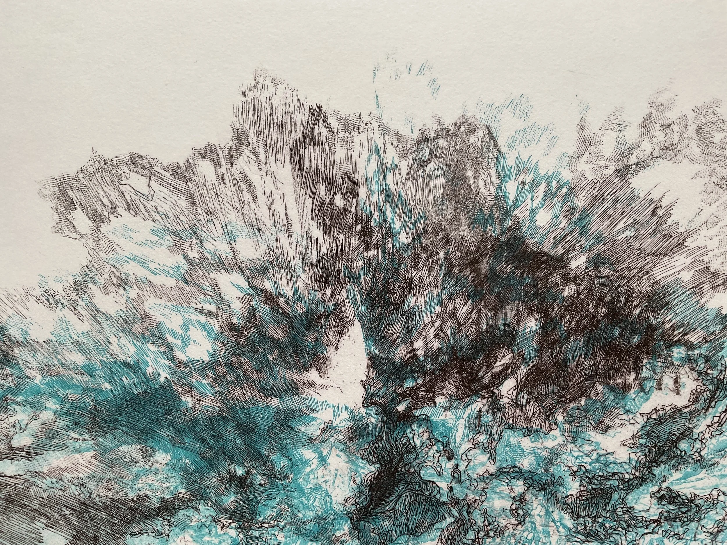 62F5F514-80A0-4A73-A25A-8D0E1A471D76.jpeg