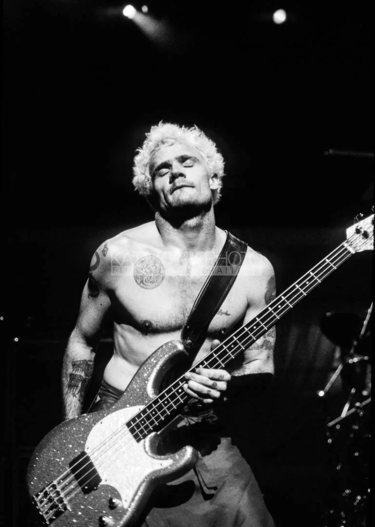 flea_film_kmp-.jpg