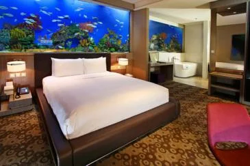 The room I paid for