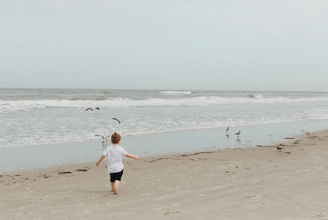 30_beach_lifestyle_photography_avalon_family.jpg