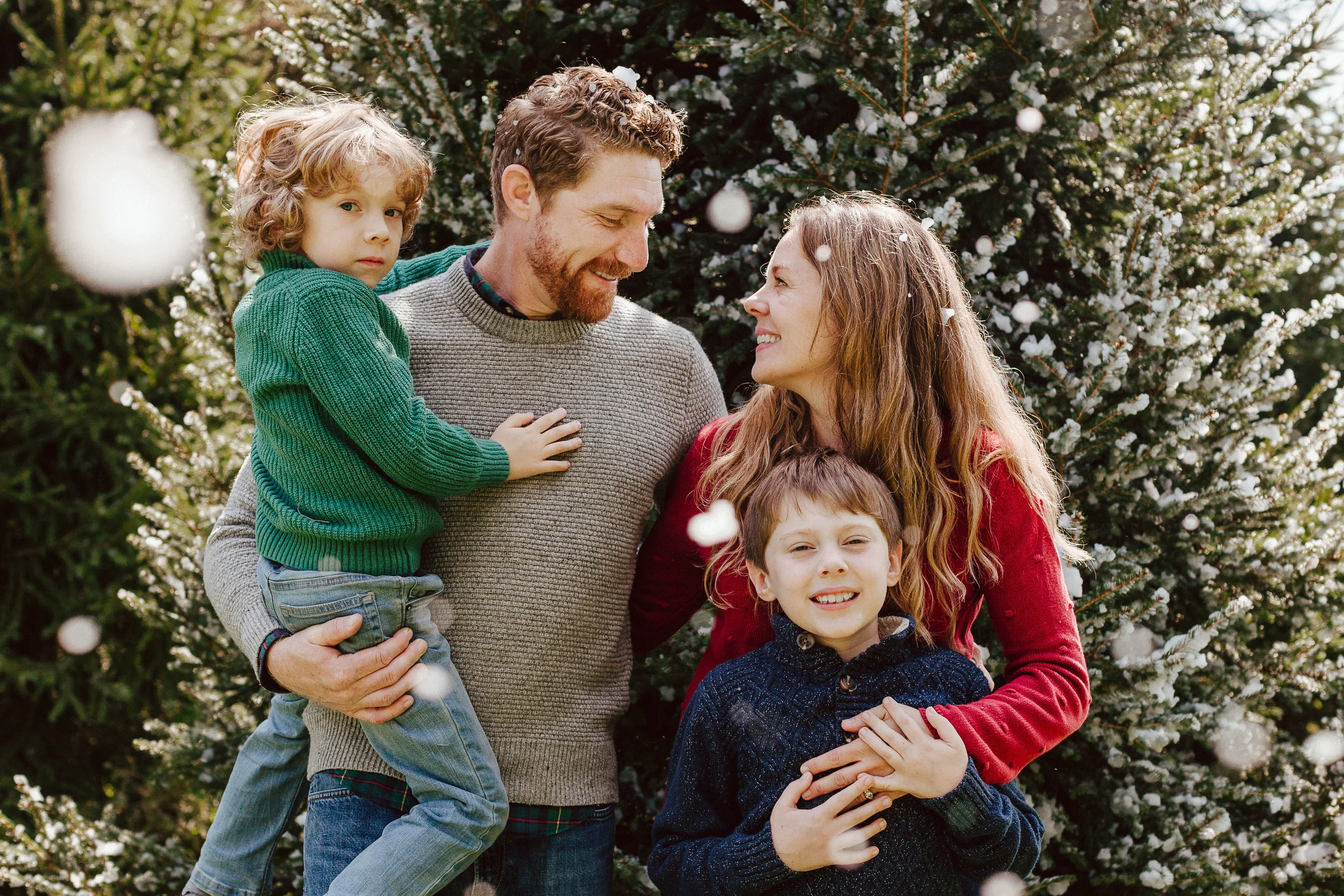 Holiday Card Mini Sessions!