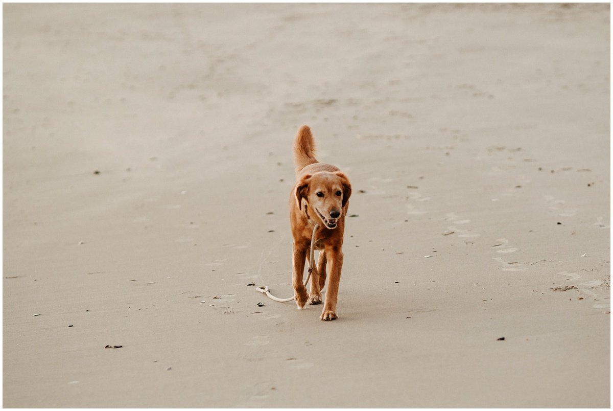 fall new jersey beach family photo session