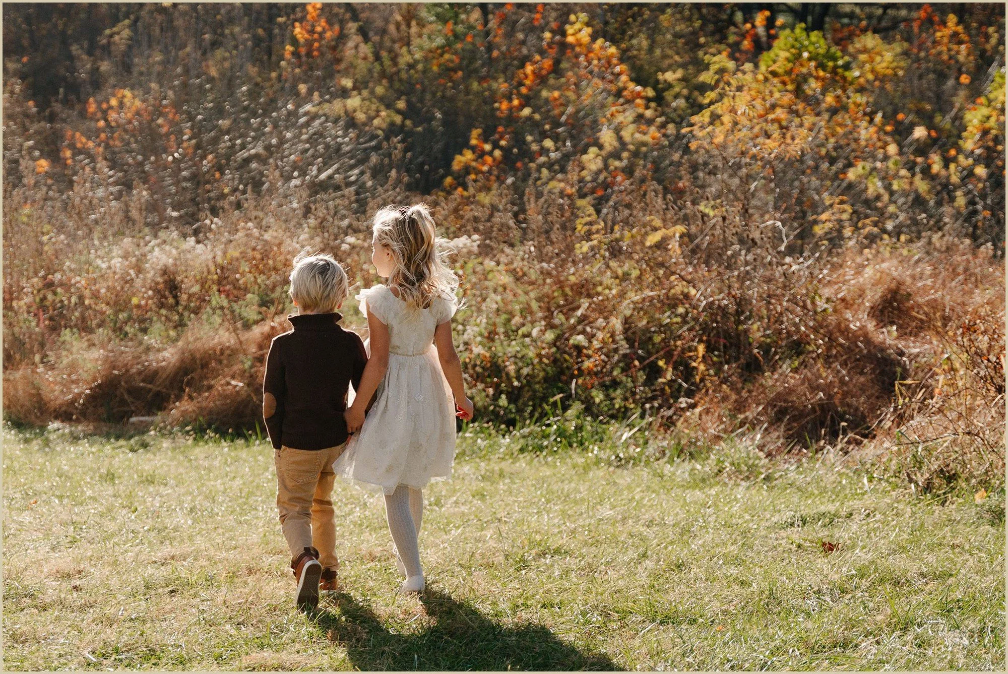 a young brother and sister holding hands walking away during the fall