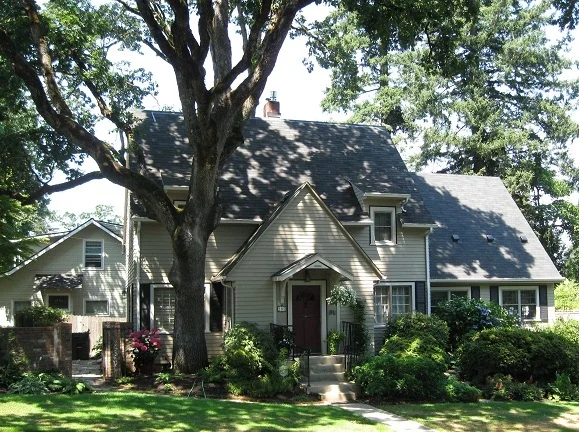 Landscaping Energy Savings