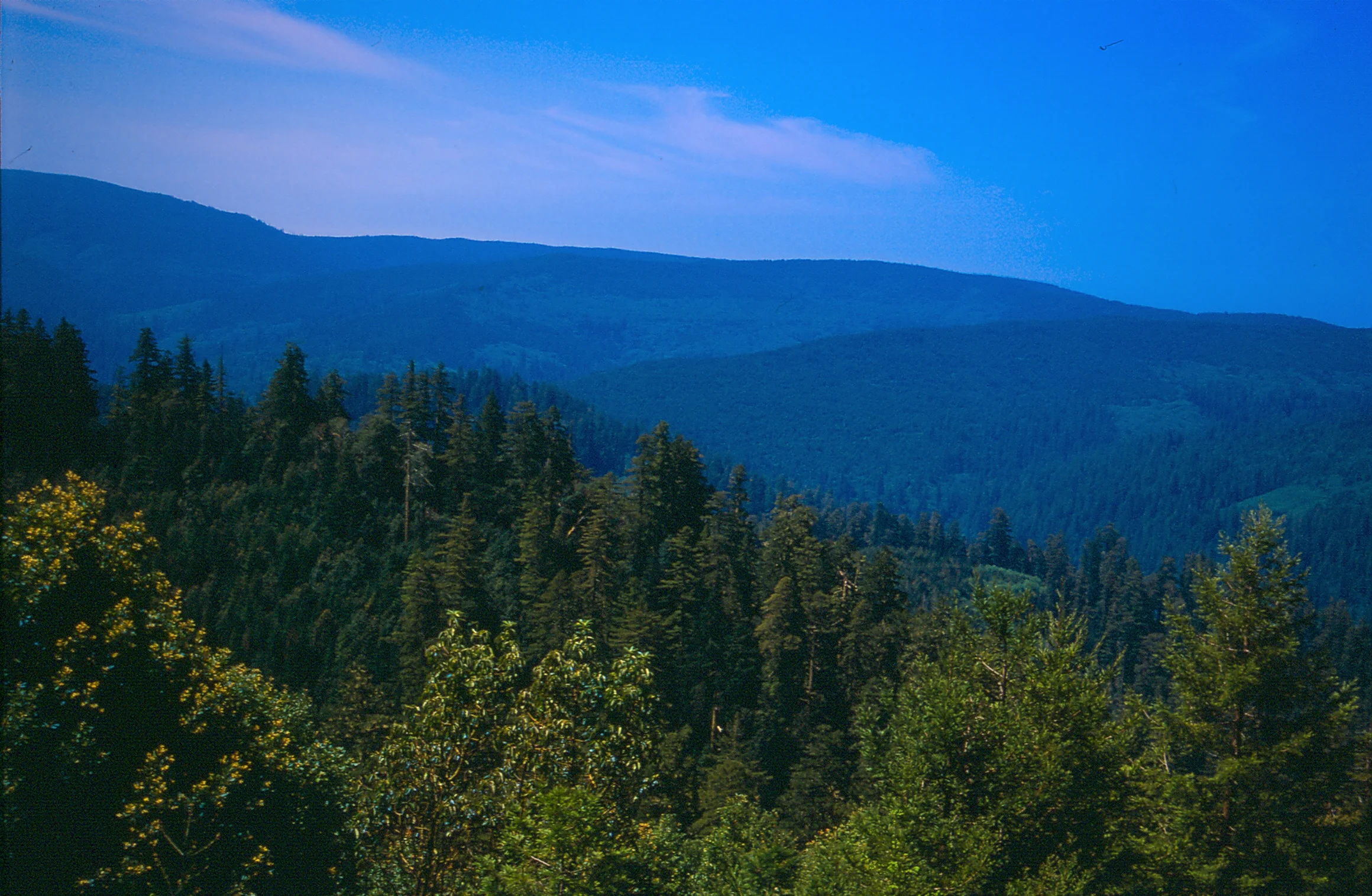 OGWC Forest Carbon Task Force to Meet February 27