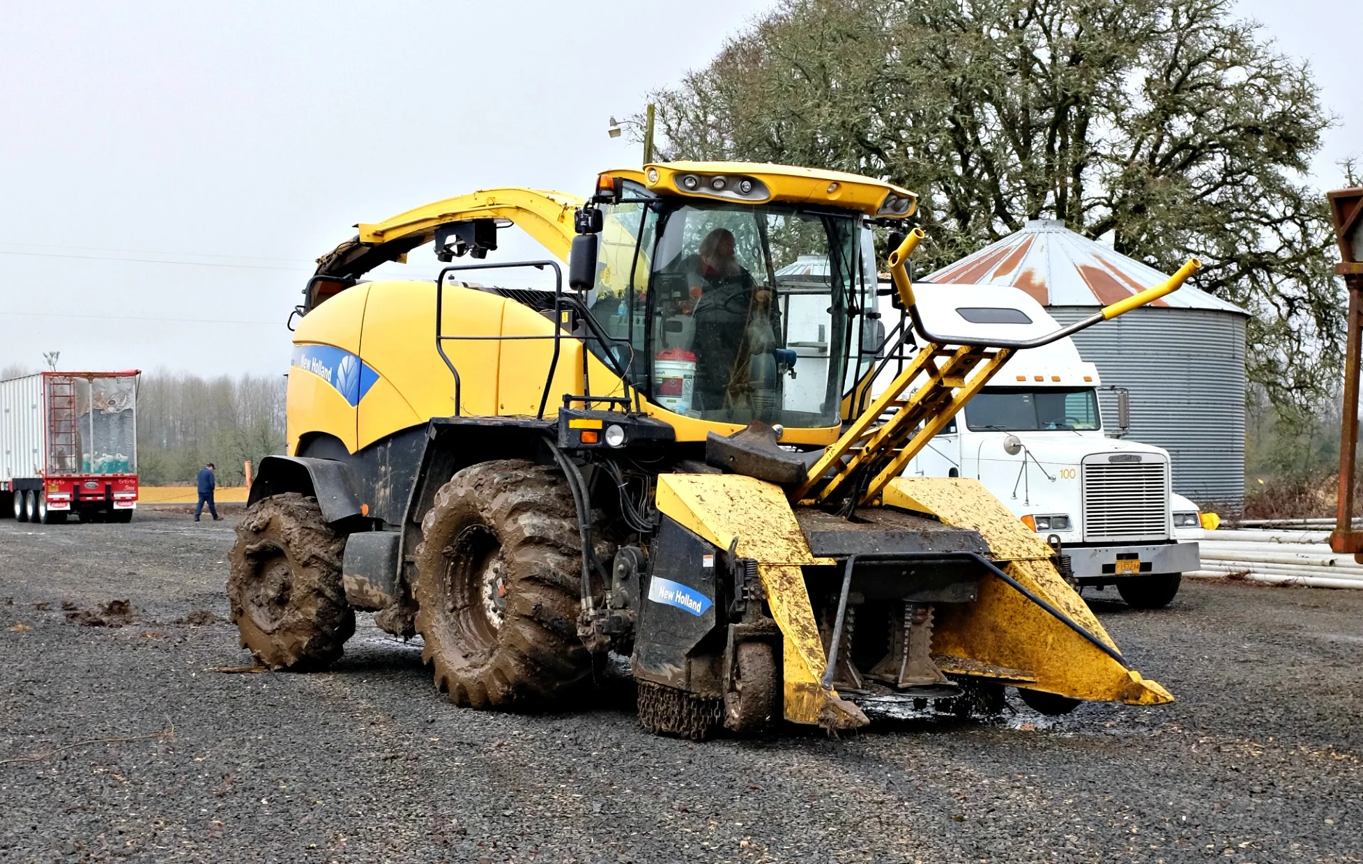 Grounded Podcast: Tree-Powered Planes!