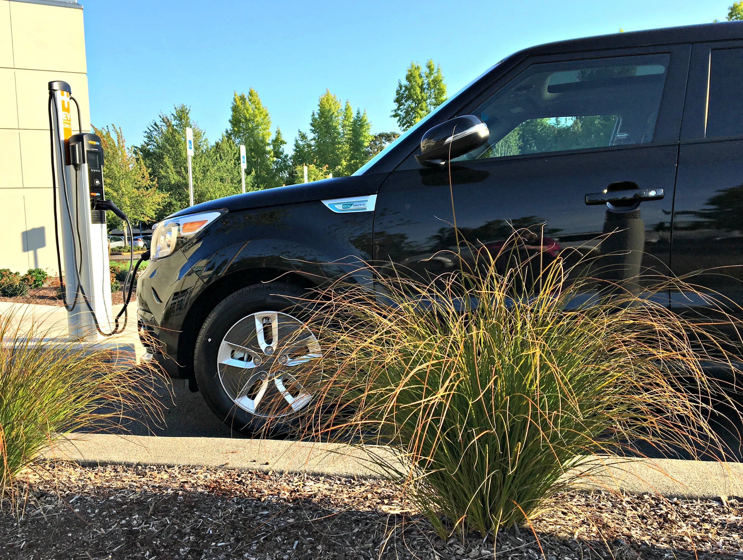 Charge Up & Go: Oregon Department of Energy Invites Oregonians to Celebrate National Drive Electric Week