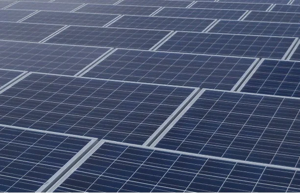 SELP Advisory Committee to Meet December 22 via Teleconference