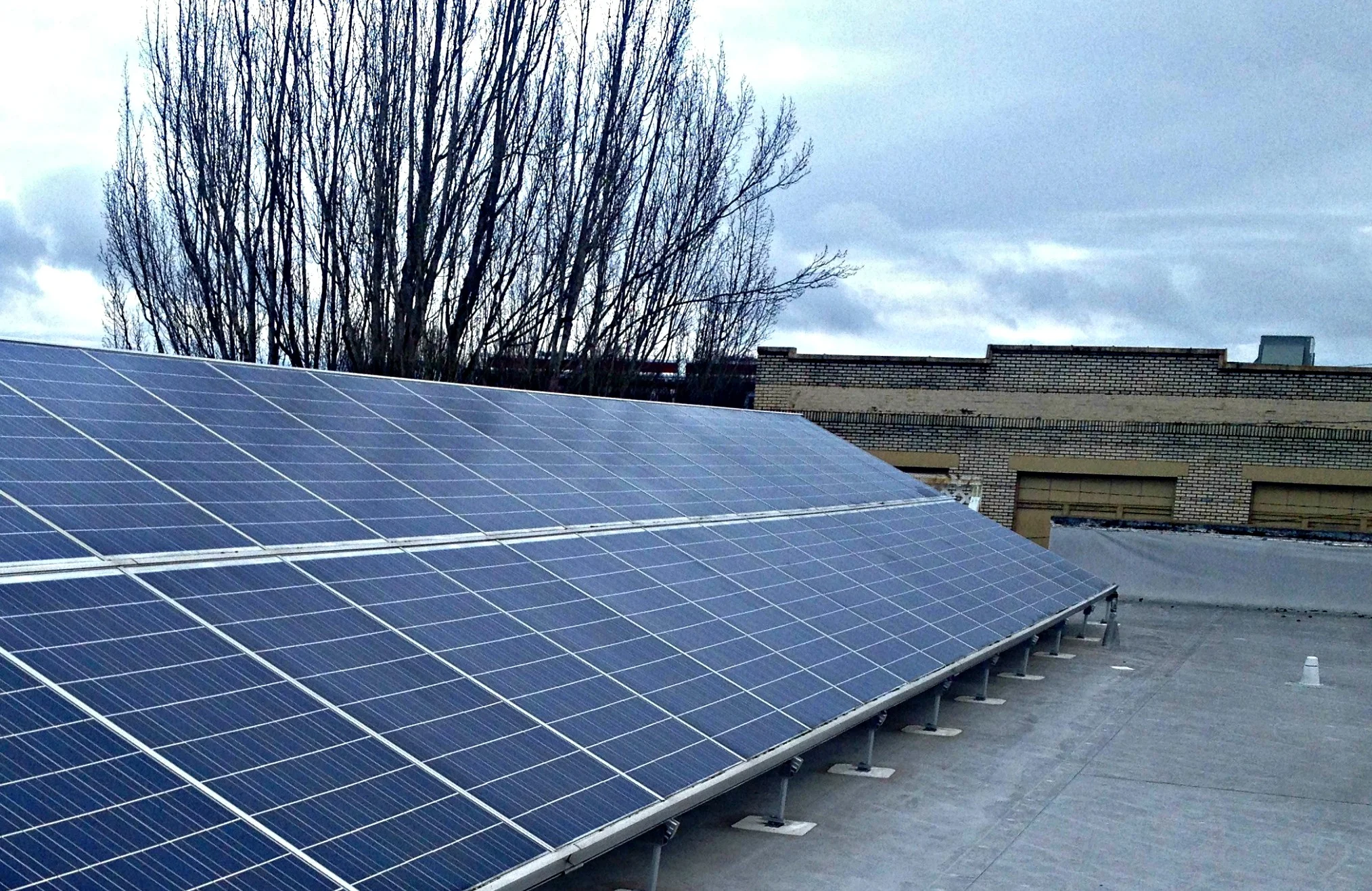 SELP Advisory Committee to meet May 21