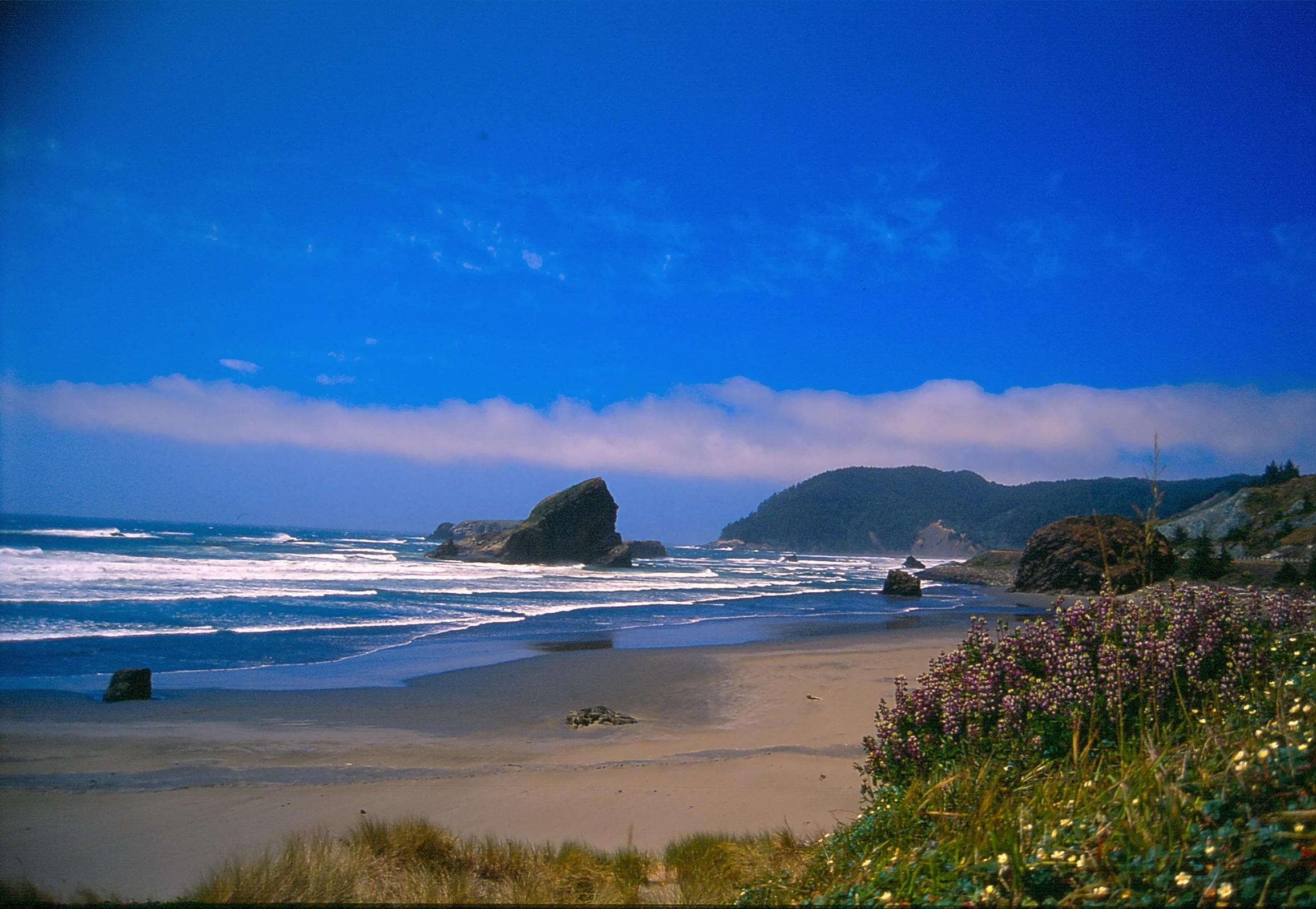 Oregon Global Warming Commission to meet September 15