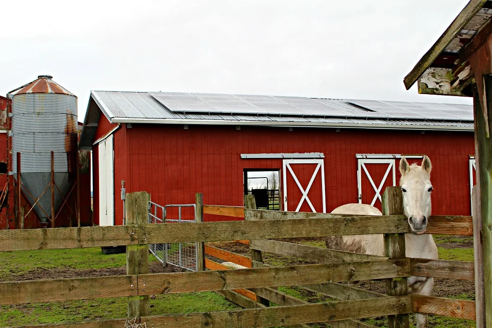 Oregon Department of Energy Grant Program Targets Renewable Energy Development