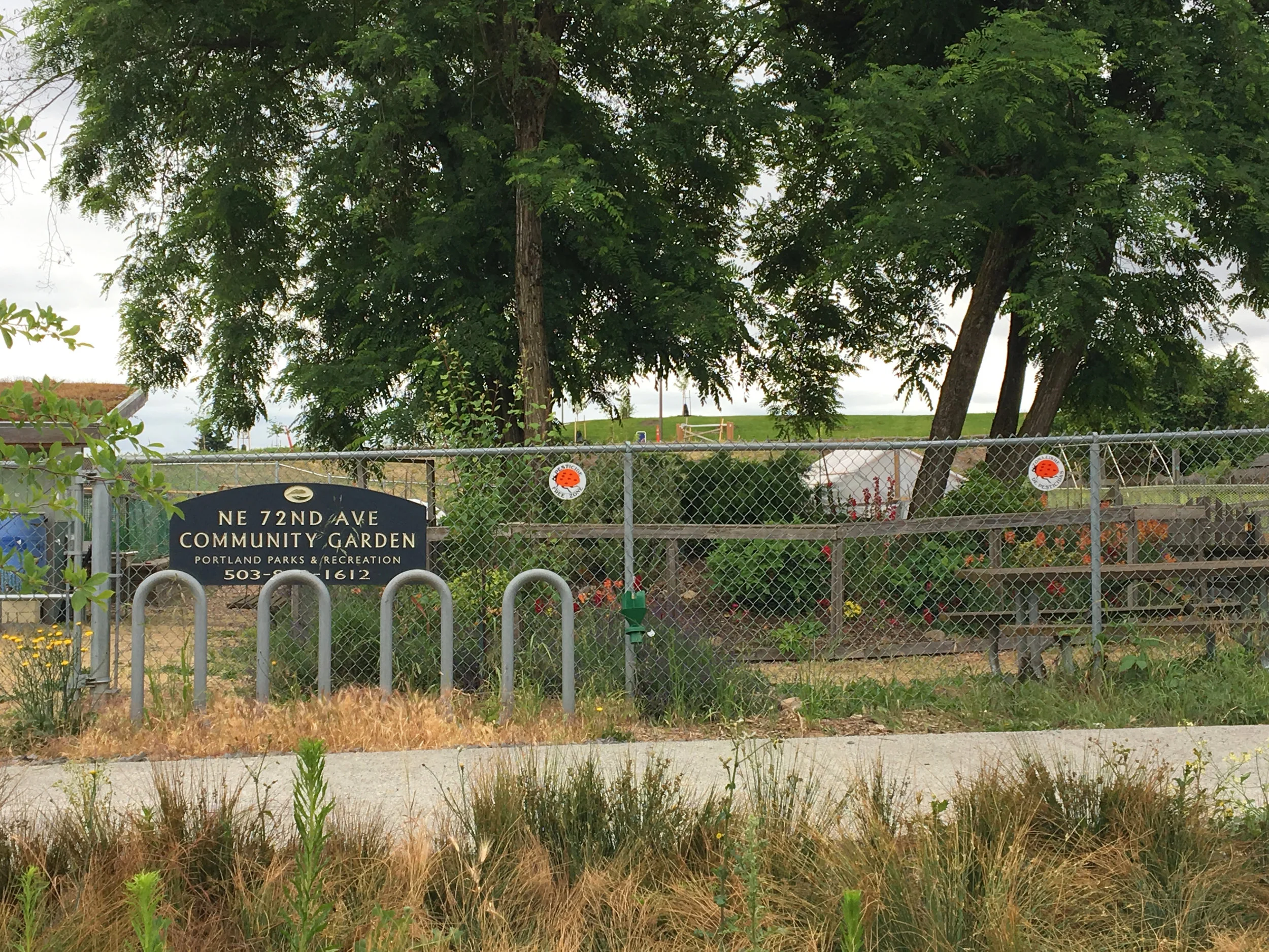 garden.jpg