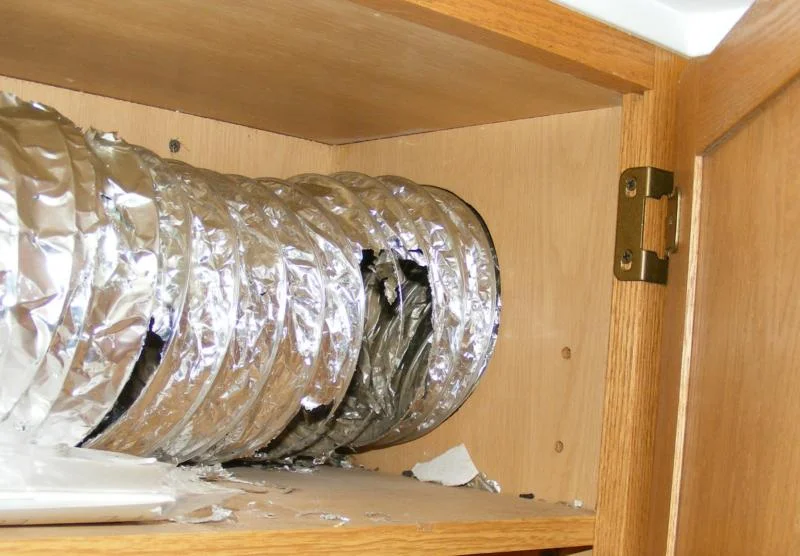 day20rodent20damaged20duct201.jpg