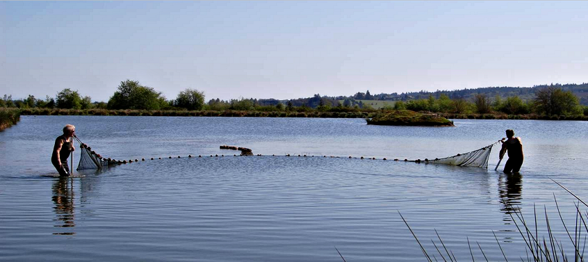 aquaculture-for-blog-story.png