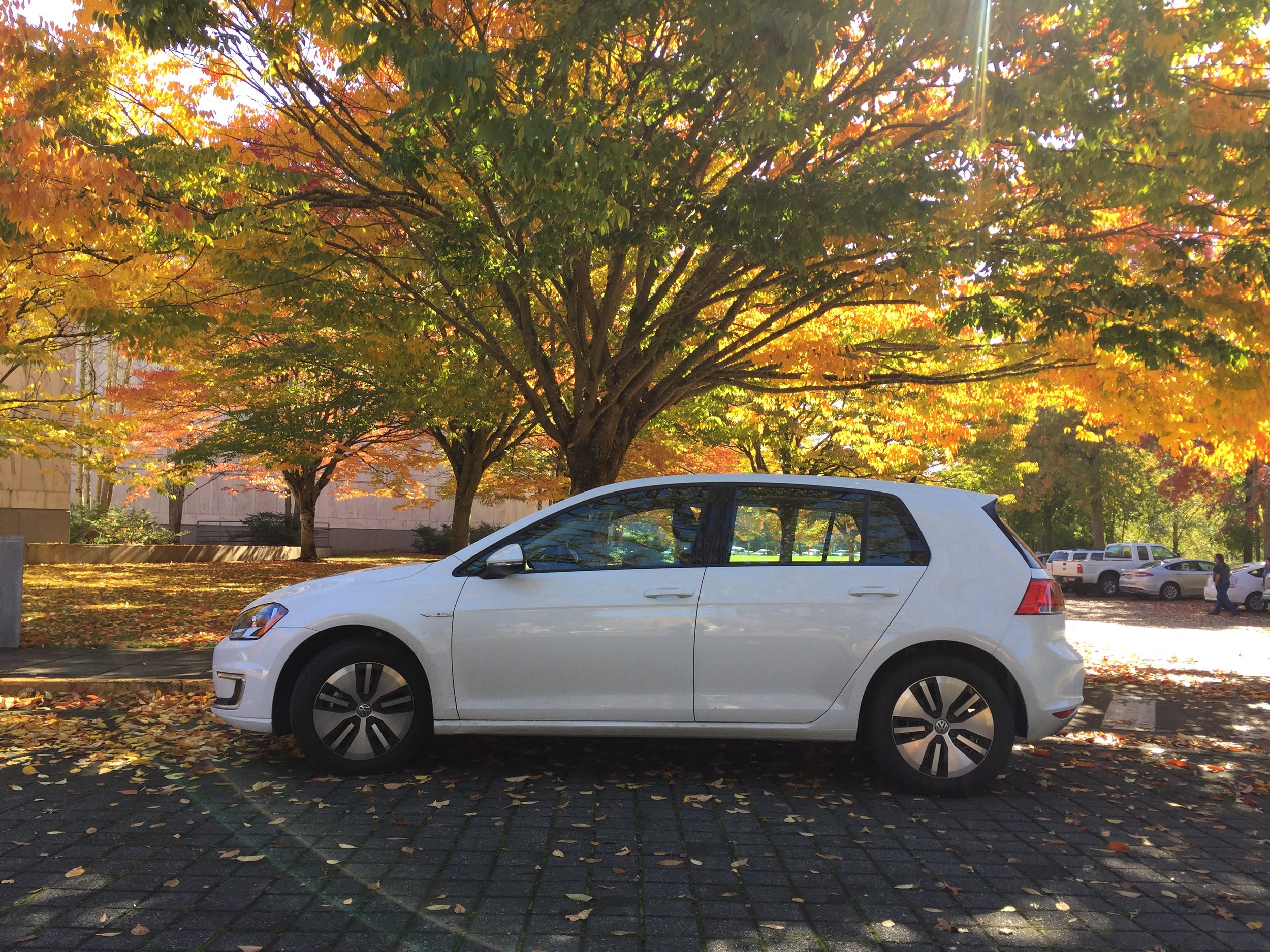 egolf-fall-2.jpeg