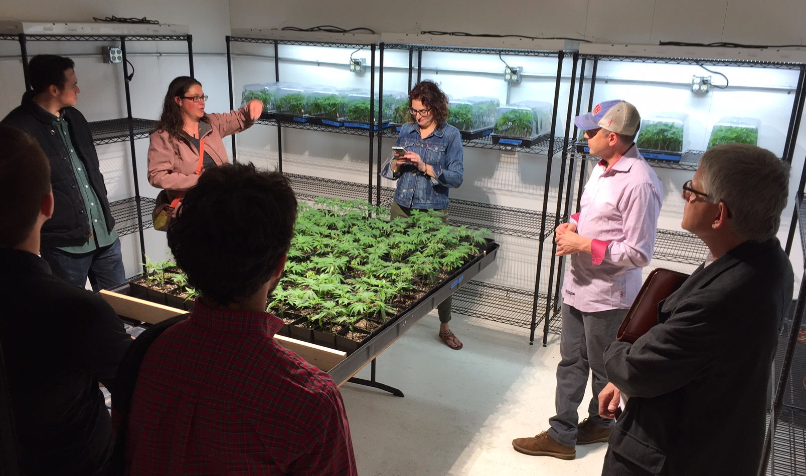  We visited an indoor cannabis growing facility near  Canby , which has several energy efficient features.     