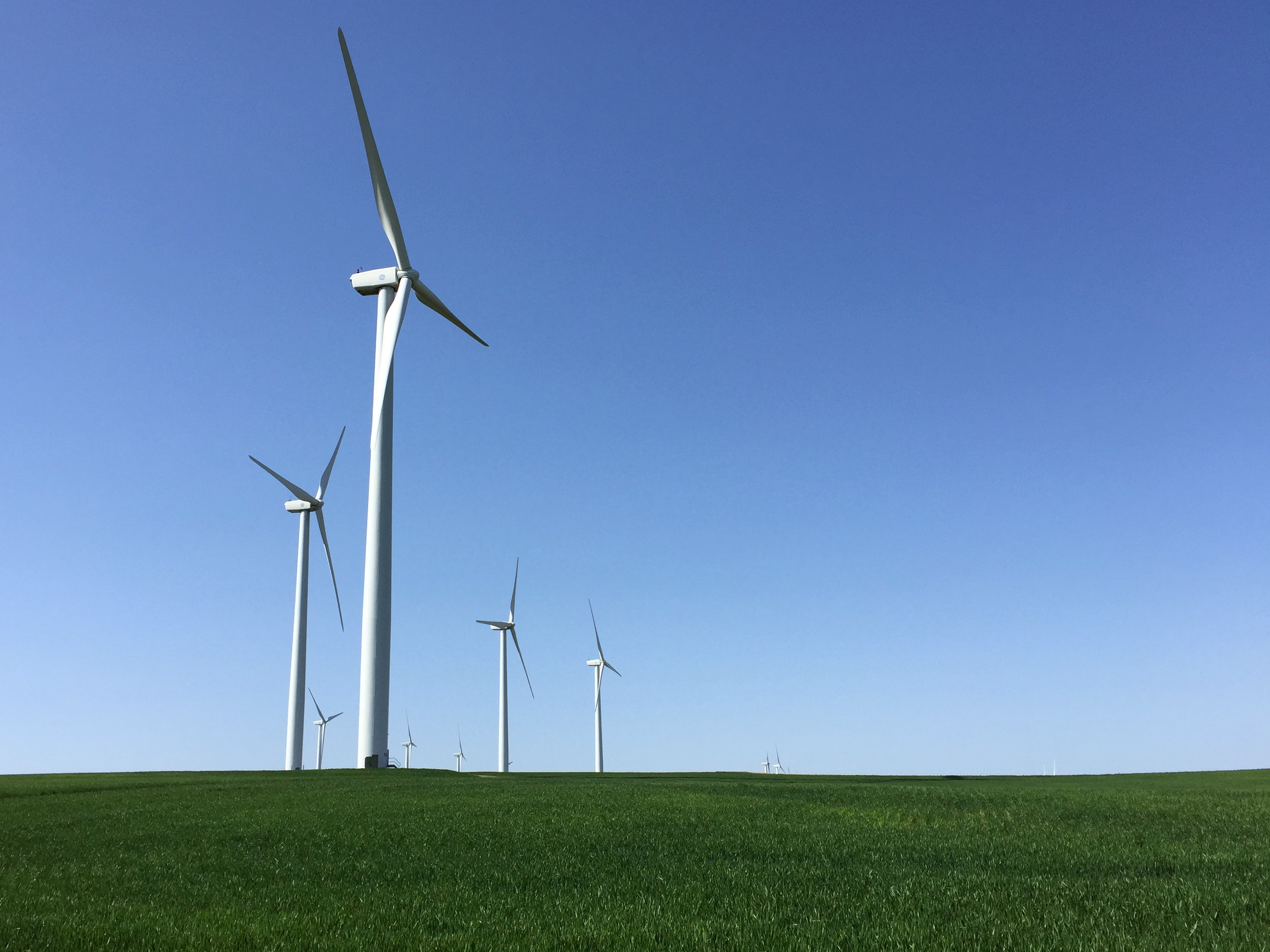 The Klondike III Wind Project in Sherman County , owned by Avangrid Renewables.