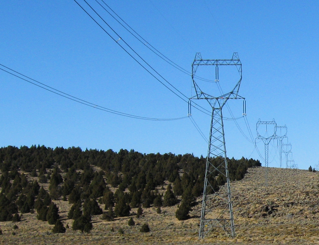 Overhead Power Line: Most Up-to-Date Encyclopedia, News & Reviews