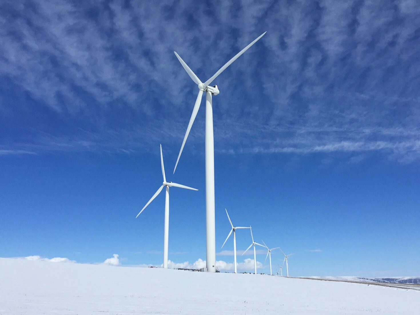 Senate Confirms Cynthia Condon as Energy Facility Siting Council’s Newest Member