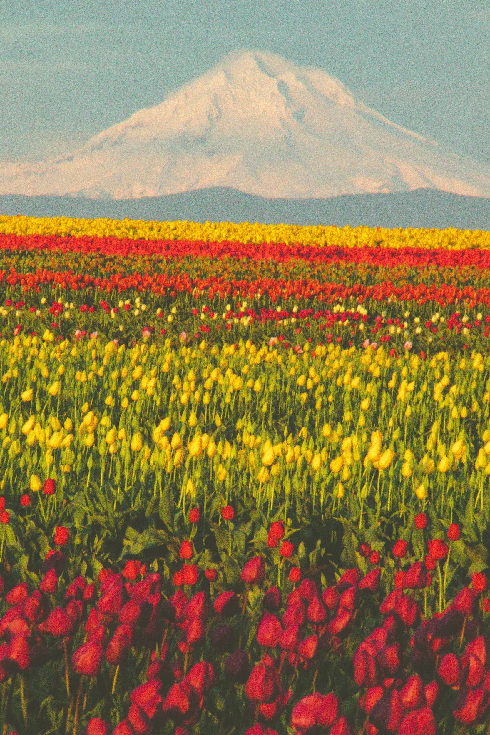 Woodburn Awarded First Energy Efficiency & Conservation Block Grant – Applications Due May 21