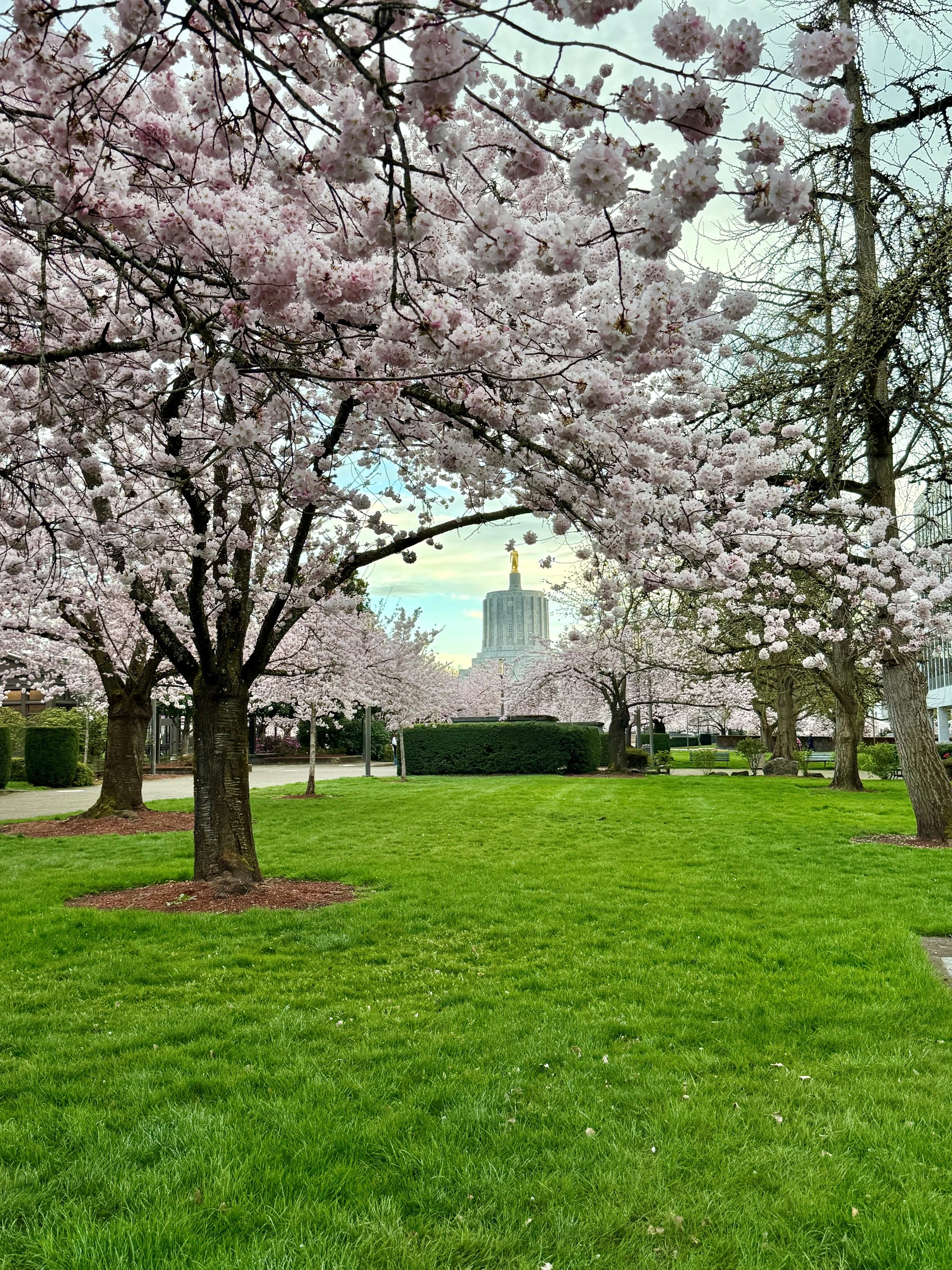 Oregon’s 2026 Legislative Session Comes to a Close