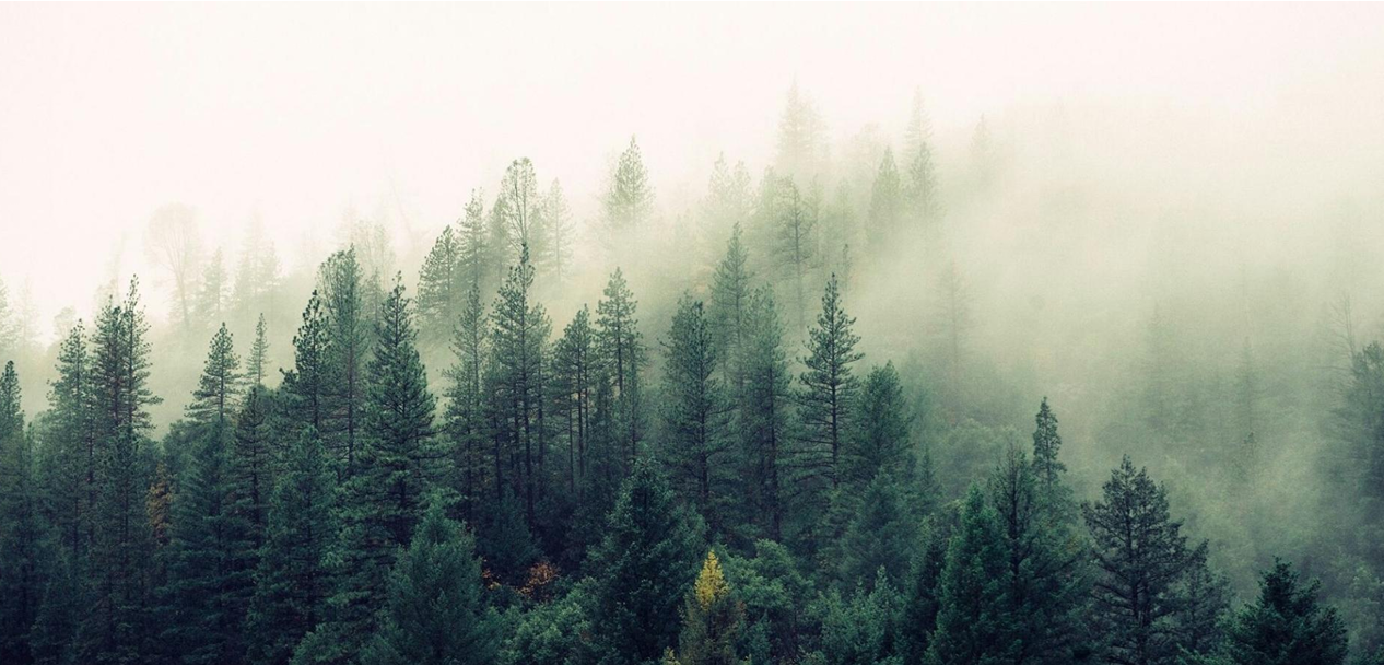 Oregon Establishes Natural and Working Lands Net Carbon Sequestration Goals