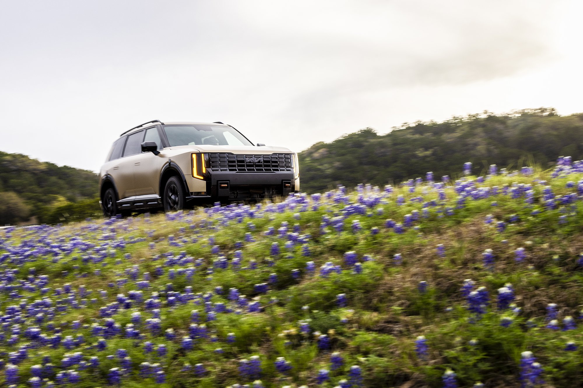 morahan_visuals_outside_tv_kia_telluride_03085.jpg