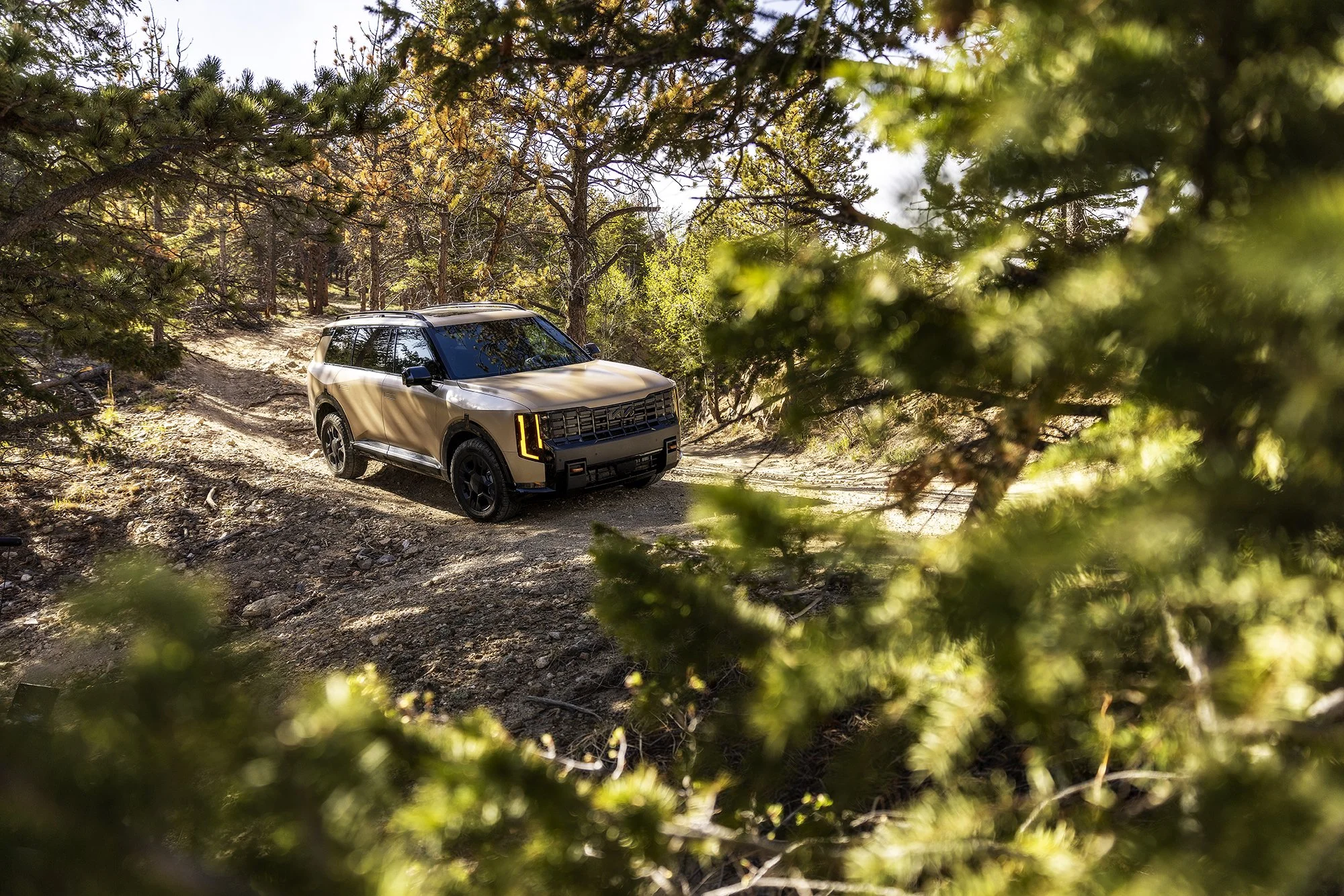 morahan_visuals_outside_tv_kia_telluride_25132.jpg