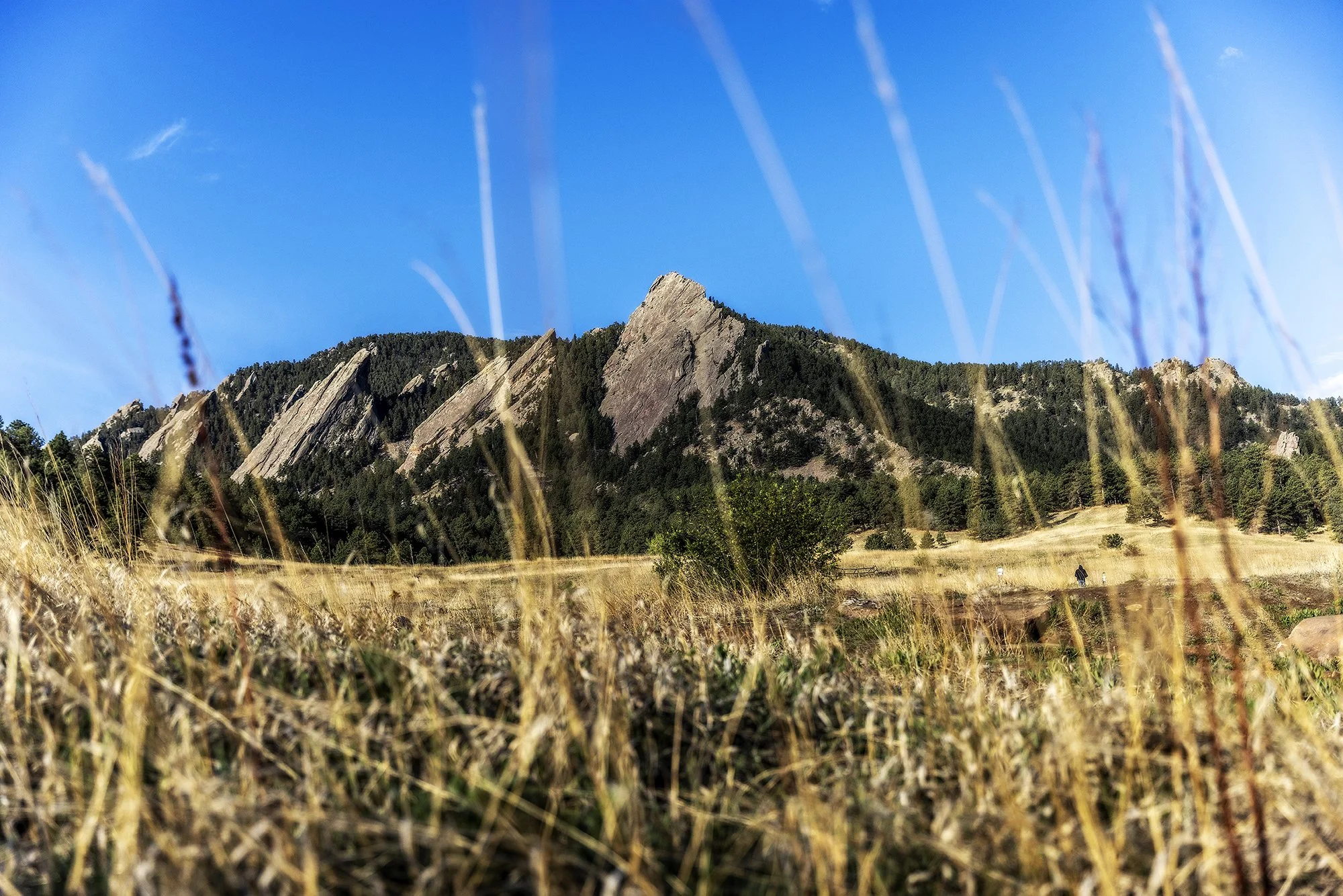 morahan_visuals_outside_tv_kia_telluride_27515.jpg