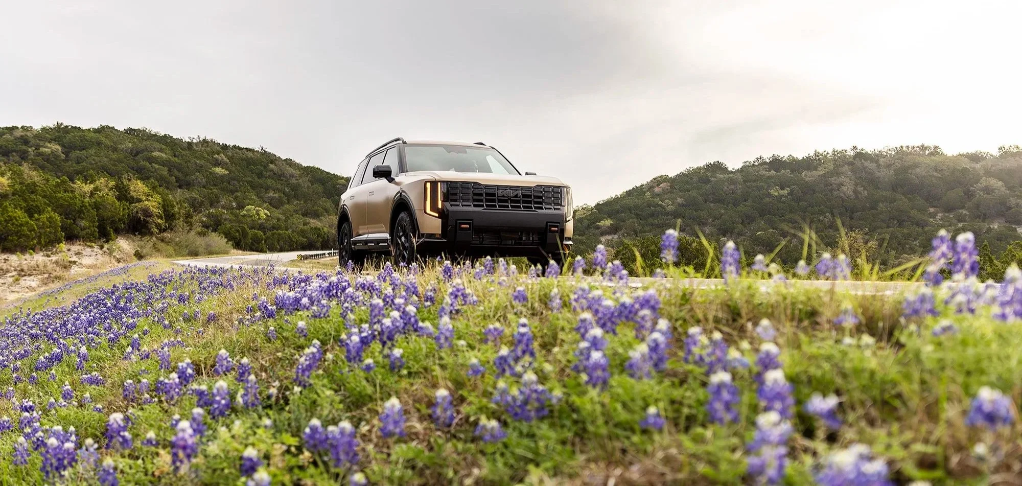 morahan_visuals_outside_tv_kia_telluride_03150.jpg