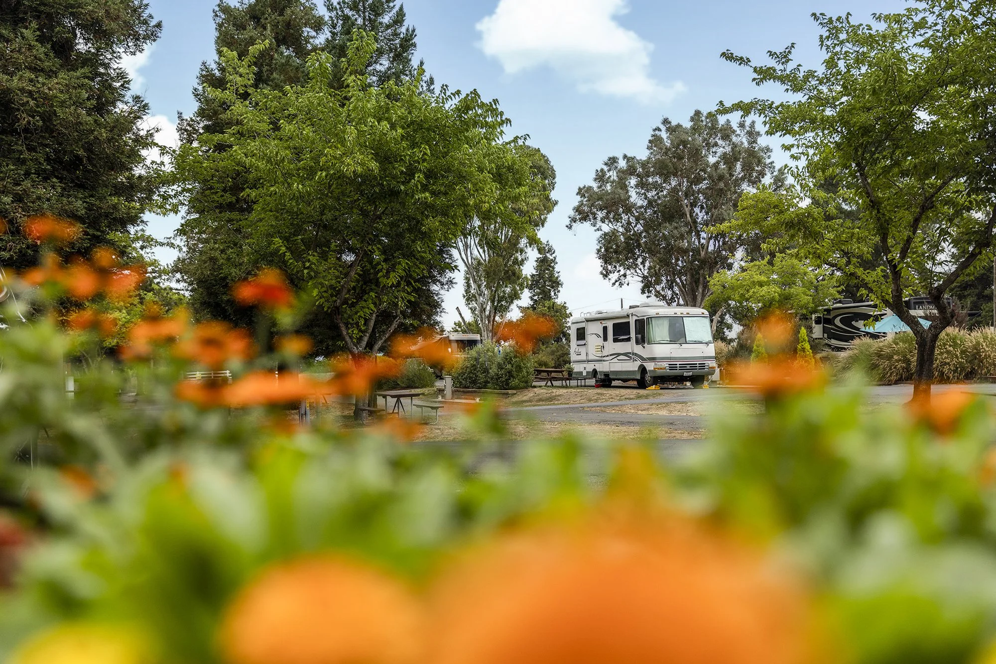 morahan_visuals_koa_petaluma_04614.jpg