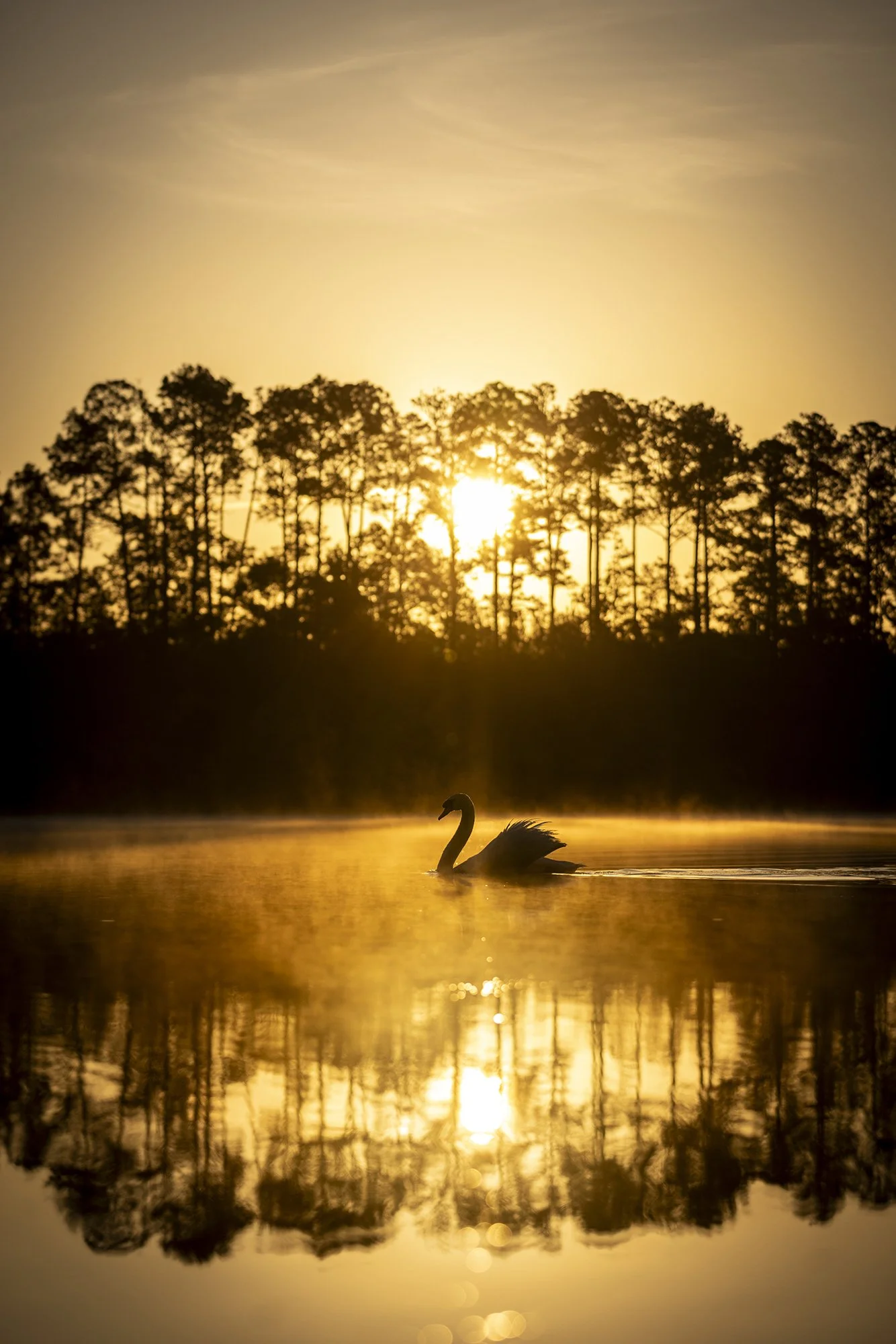 morahan_visuals_savannah_south_koa_00845.jpg