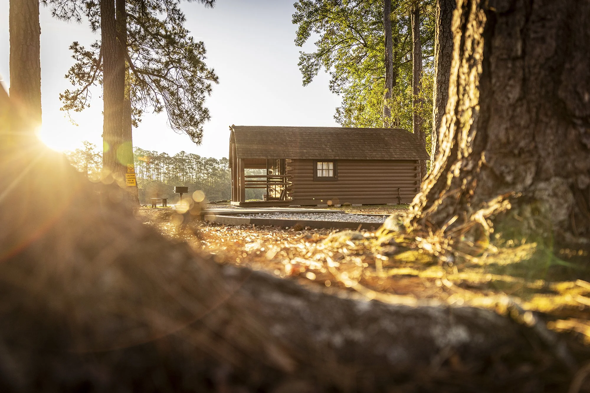 morahan_visuals_savannah_south_koa_01047 (1).jpg