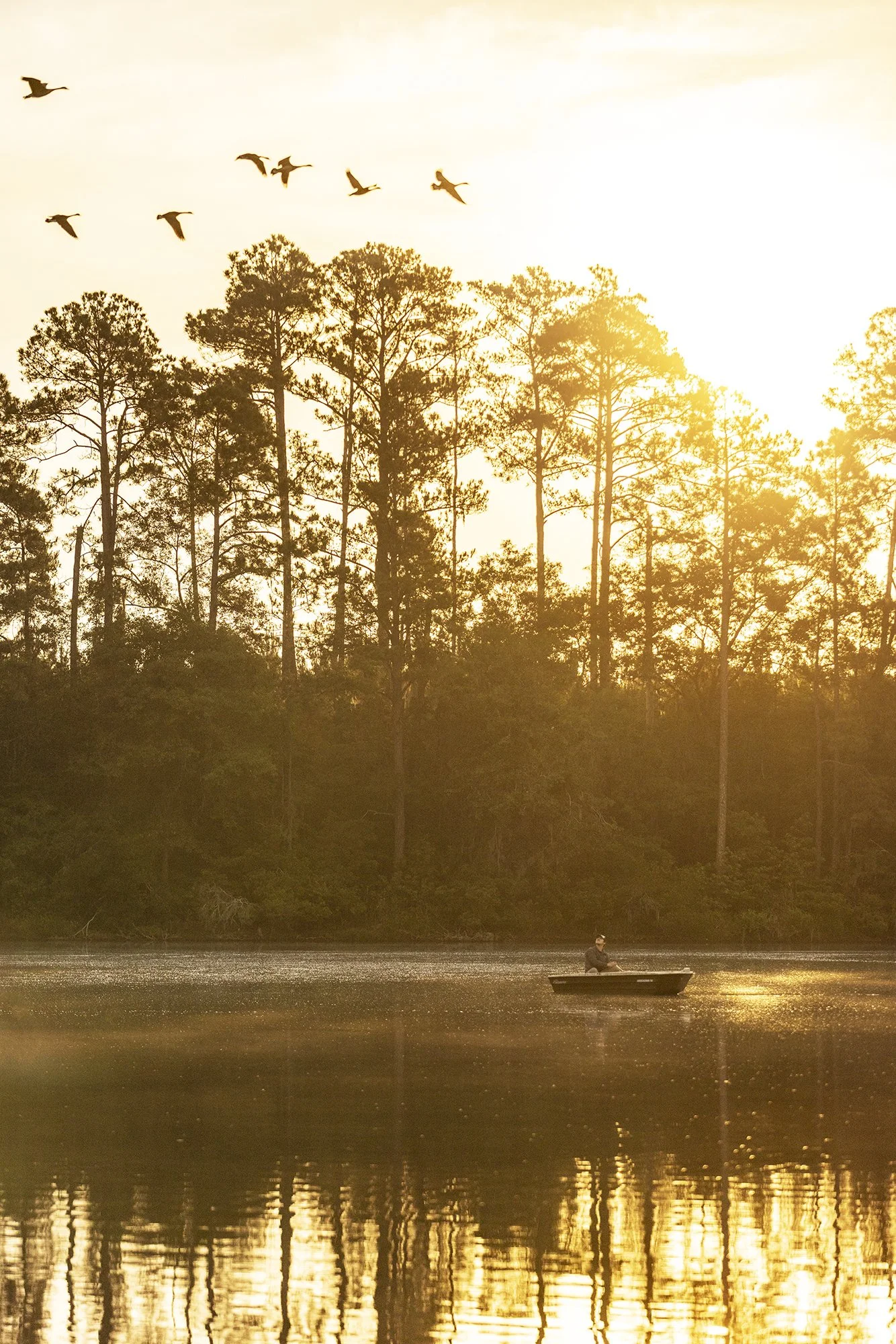 morahan_visuals_savannah_south_koa_04793.jpg