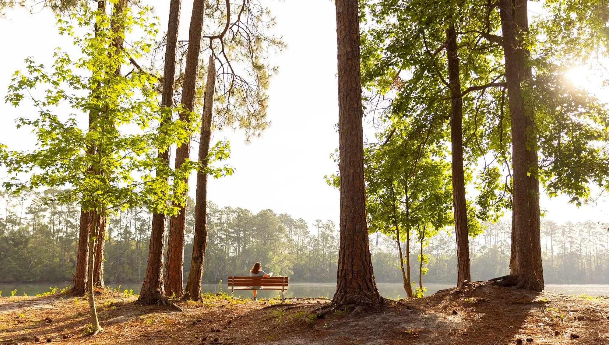 morahan_visuals_savannah_south_koa_05314+%281%29.jpg