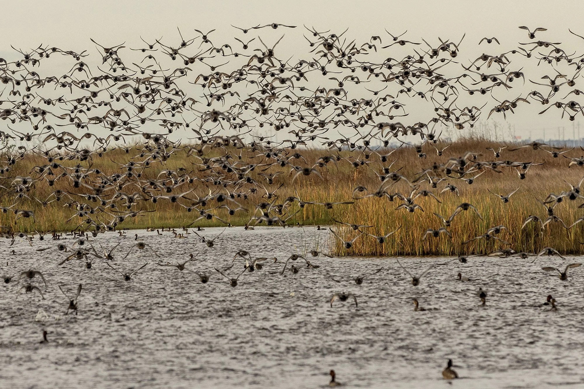 Morahan_Visuals_Outside_TV_Texas_Tourism_00635.jpg
