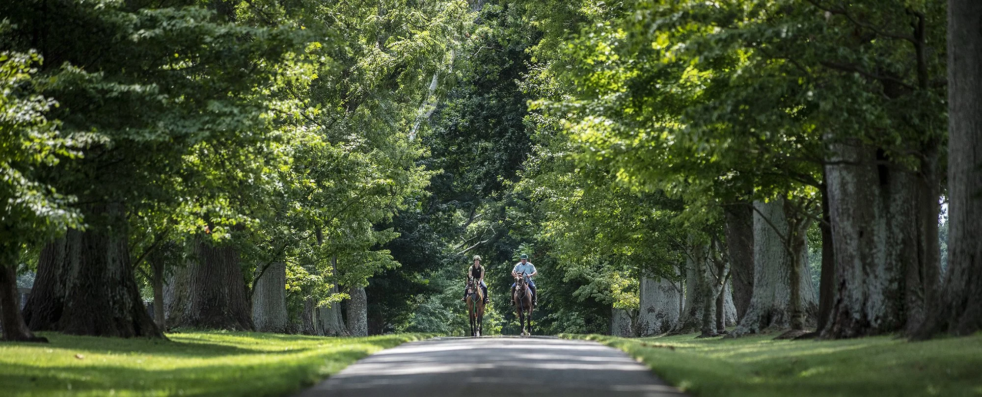 morahan_visuals_outside_tv_stoked_kentucky_09708.jpg