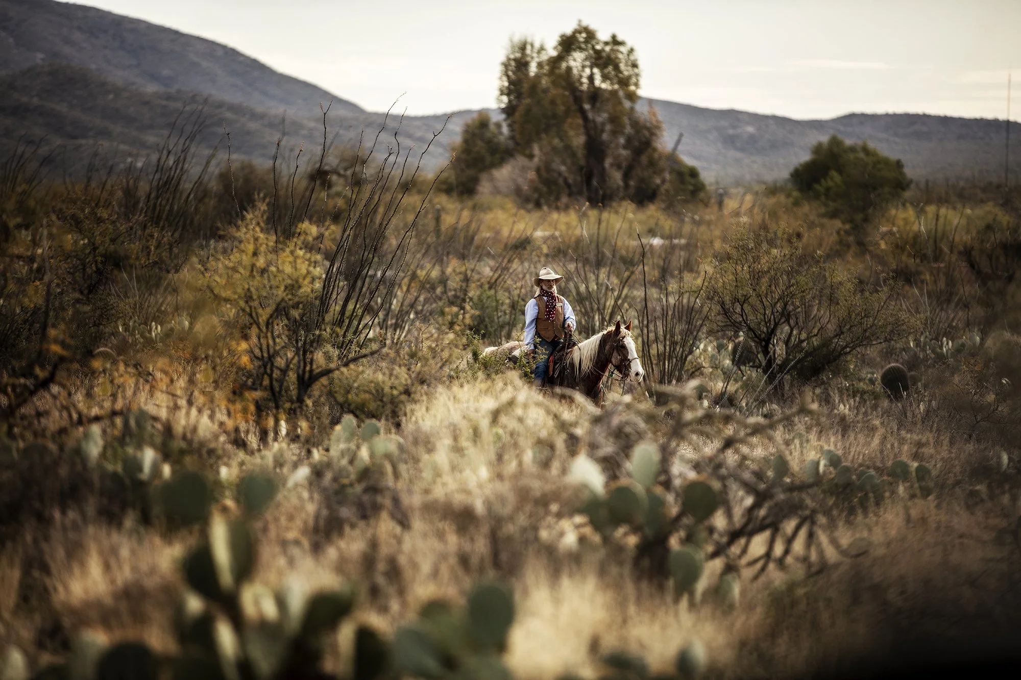 morahan_visuals_outside_tv_GMC_08920_v1.jpg
