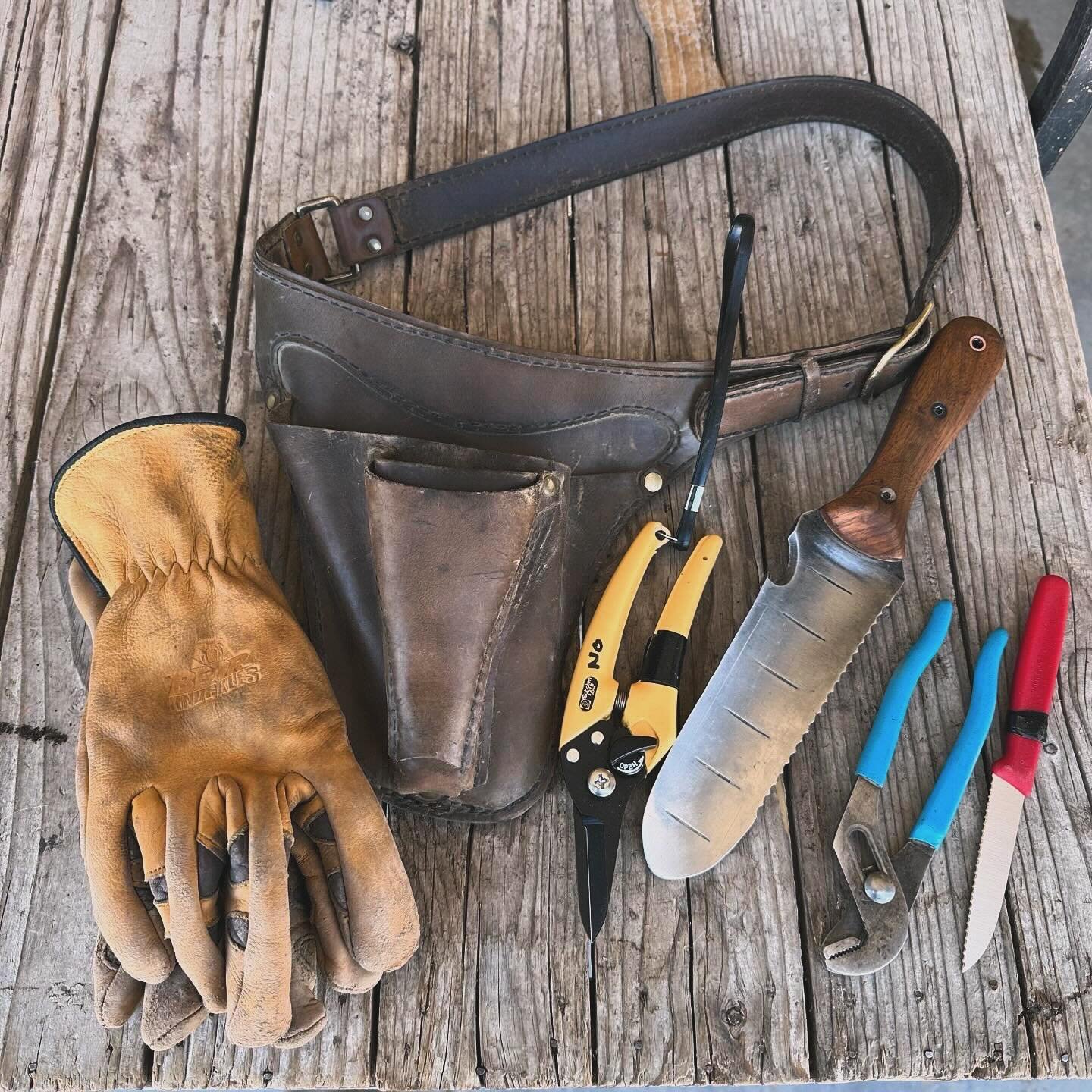My essential tools for wandering the farm. What are yours?